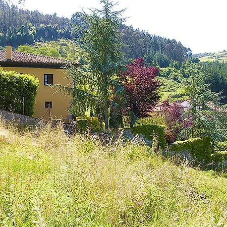 Vinalbero *